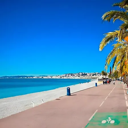 Place Garibaldi - Cosy Et Climatise *
